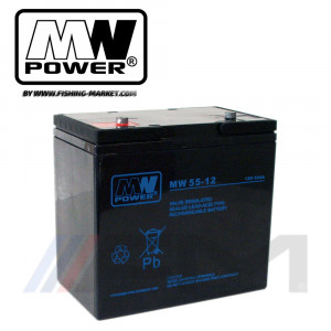 Акумулаторна тягова батерия MW POWER AGM - MW 55Ah 12V 